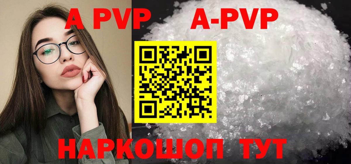 Alfa_PVP крисы CK Нальчик