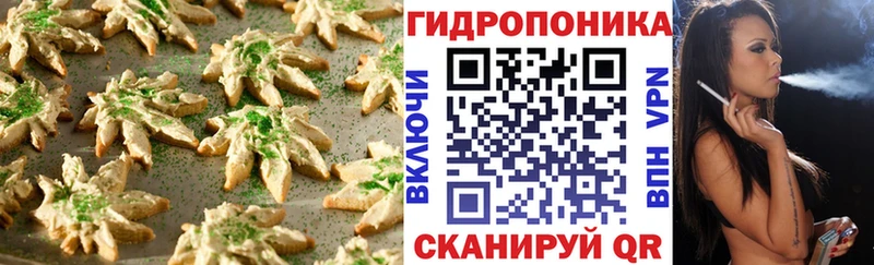 kraken онион  Нальчик  Canna-Cookies марихуана 