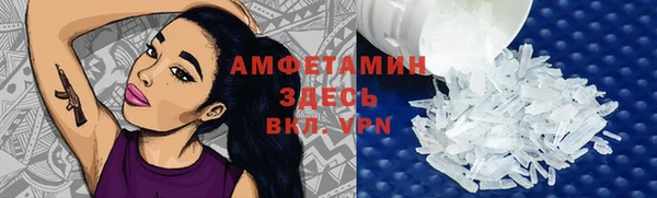 крисы Няндома