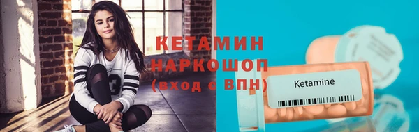 крисы Няндома