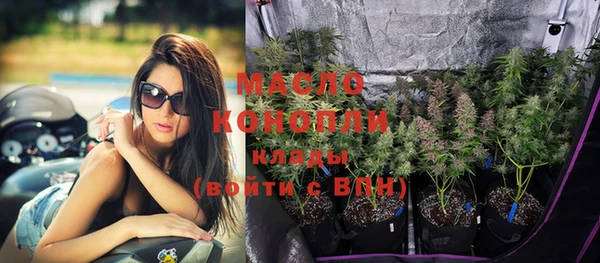 крисы Няндома