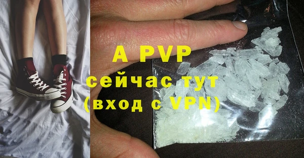 крисы Няндома