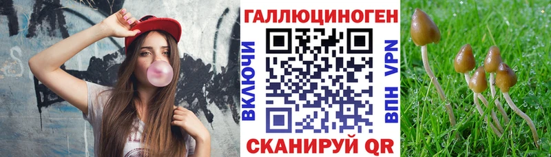 купить   Нальчик  Псилоцибиновые грибы Magic Shrooms 