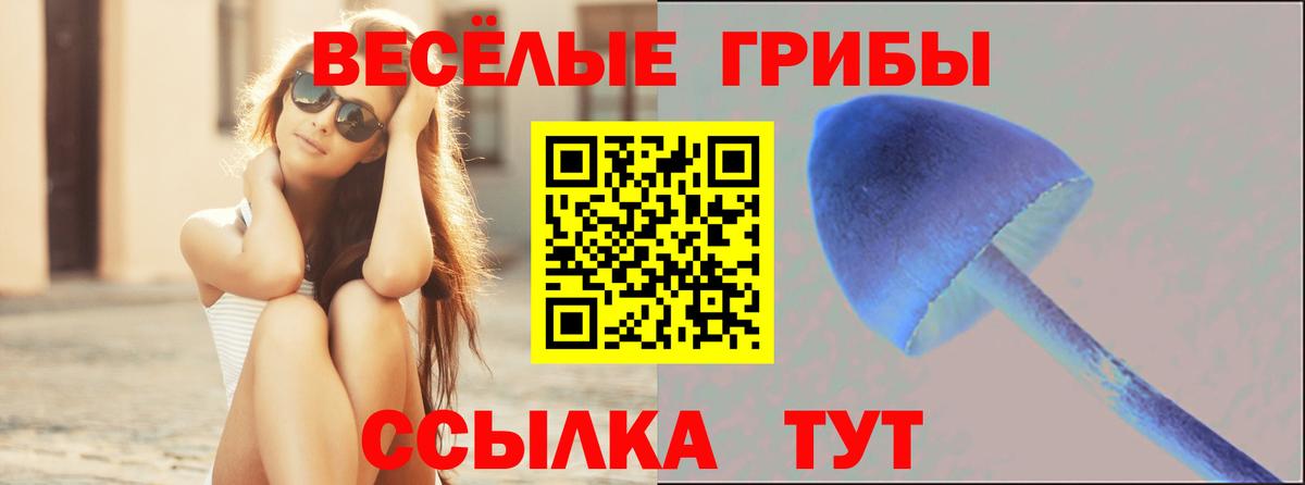 Галлюциногенные грибы прущие грибы  Галлюциногенные грибы MAGIC MUSHROOMS  Вход с VPN  Нальчик 